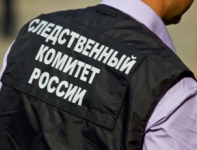 Следственными органами СК России по Новосибирской области организована проверка по сообщению СМИ по факту покушения на совершение насильственных действий сексуального характера в отношении малолетней